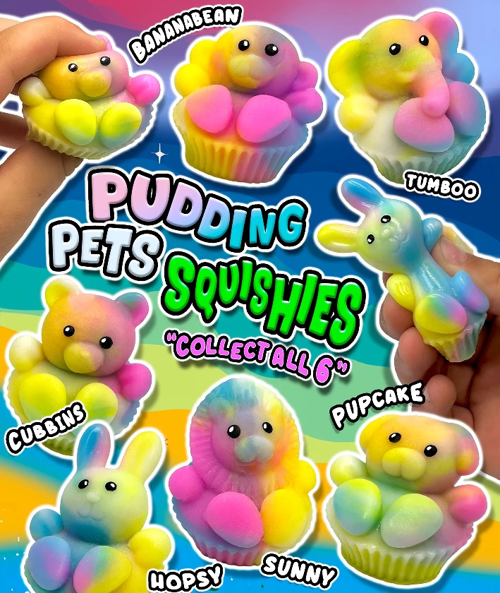 50 MM Pudding Pets Squishy